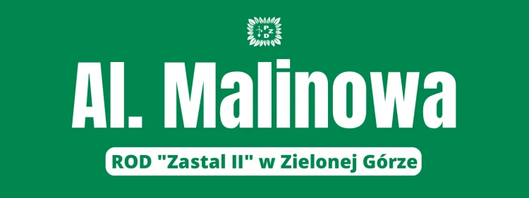 TABL-ALEJ-02.jpg