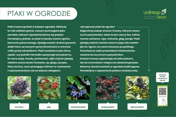 TAB-EDU-ptaki-w-ogrodzie.jpg