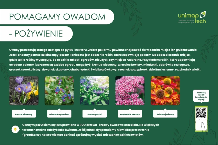 TAB-EDU-owady-pozywienie.jpg