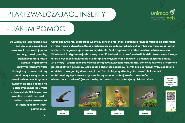 TAB-EDU-ptaki-owadozerne.jpg