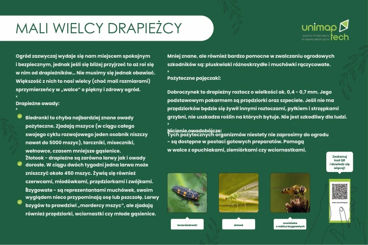 TAB-EDU-drapiezne-owady.jpg