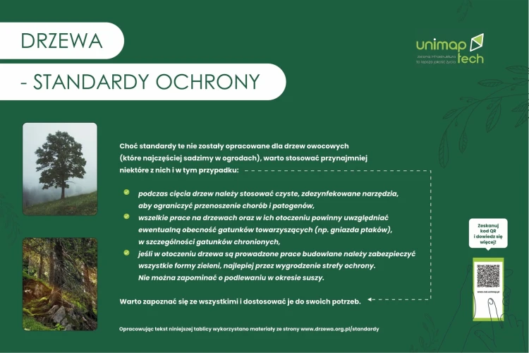 TAB-EDU-drzewa-standardy-2.jpg